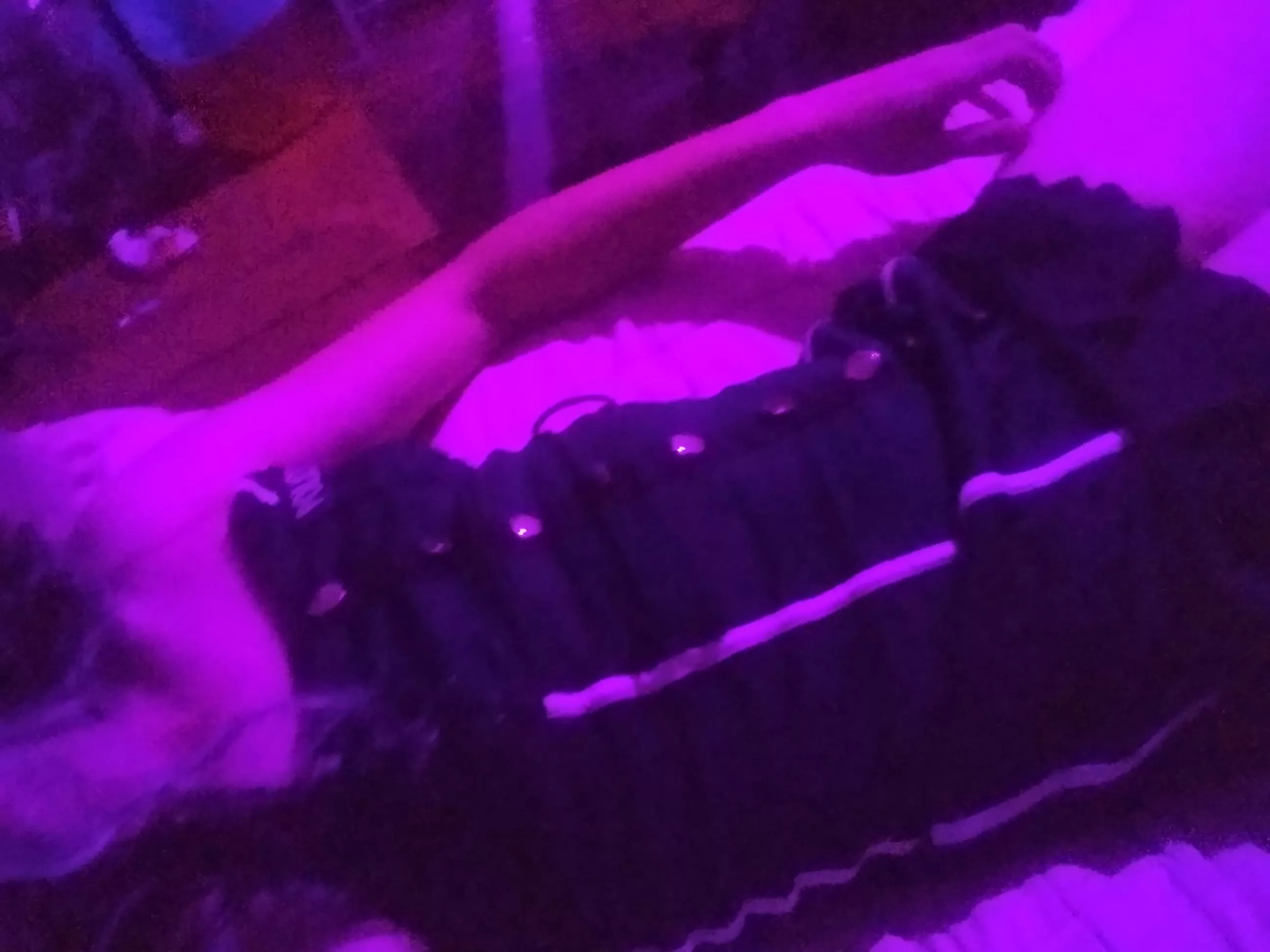 please make me your fucktoy 🥺