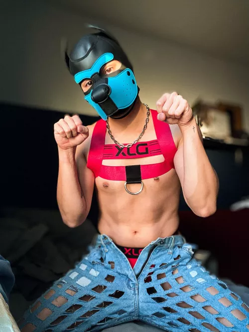 Pup Skyler used Puppy Pose! It’s super effective! 💥