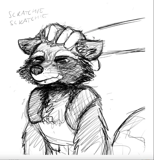 Rocket's biggest secret is he secretly loves pettings