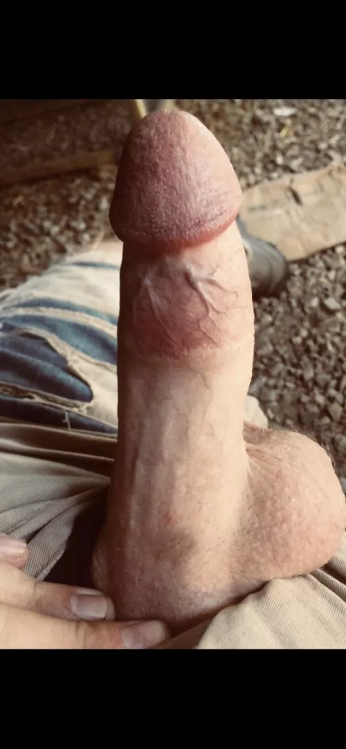 Sitting in the barn wondering who wants to roll around in the hay with me?