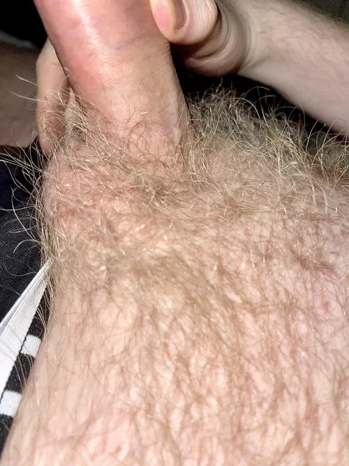 Started a Break from trimming for the winter. Still more to grow yet. :)