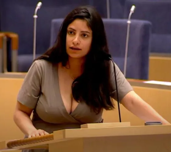 Swedish politician Nooshi Dadgostar