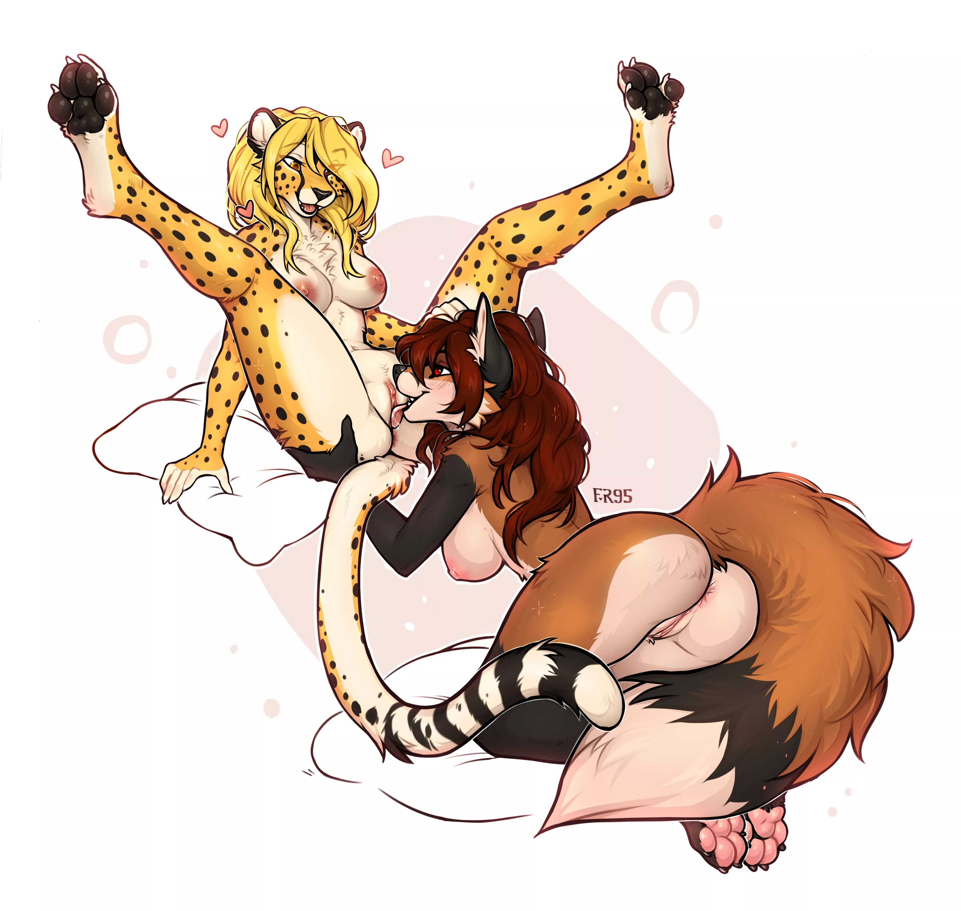 The cheetah and the fox [FF] (F-R95)