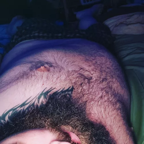 want to cuddle and rub my beard?
