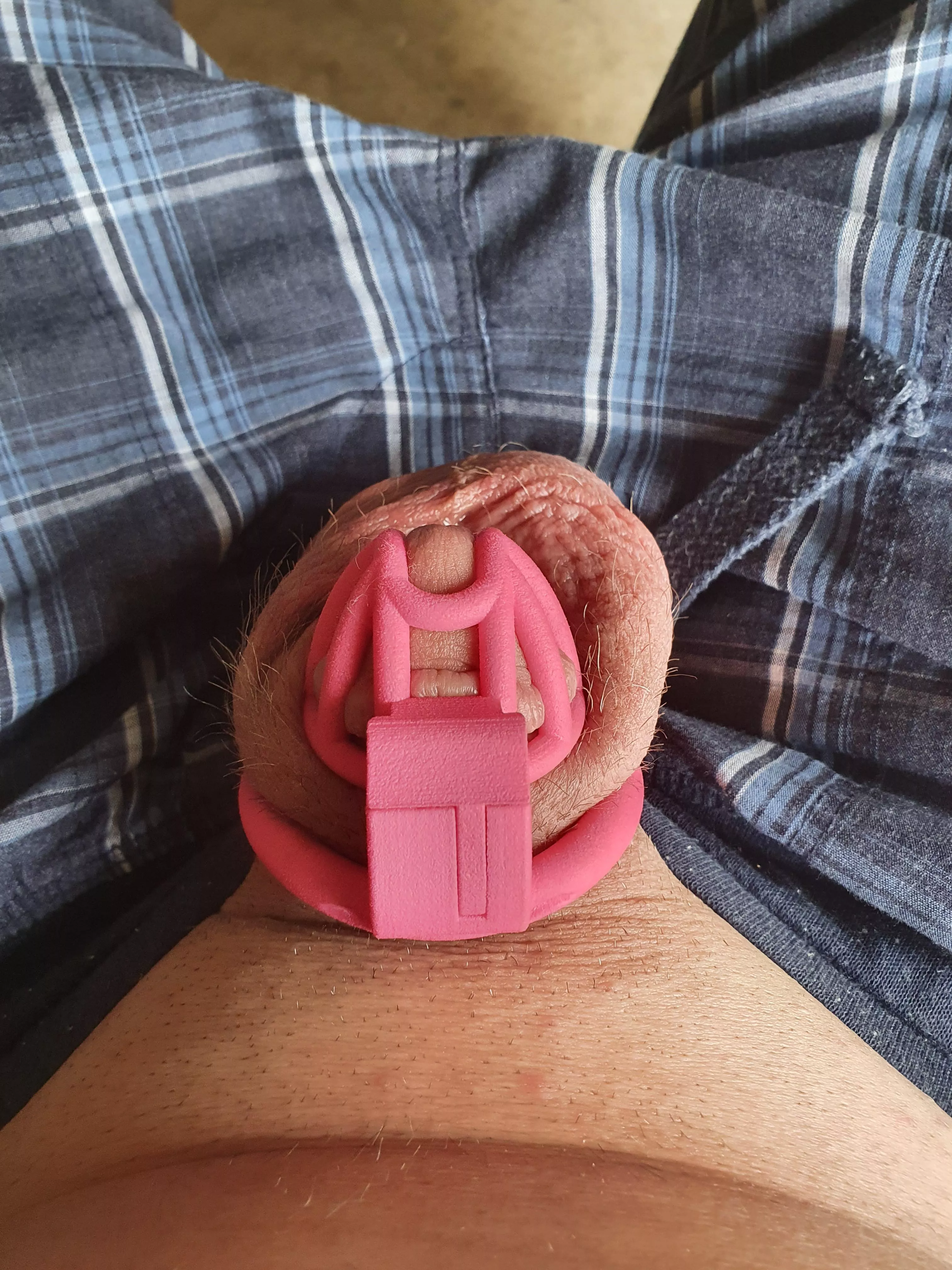 We think we have found my forever cage.