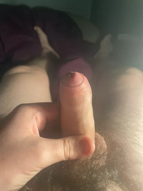 (18) does anybody like my small uncut cock