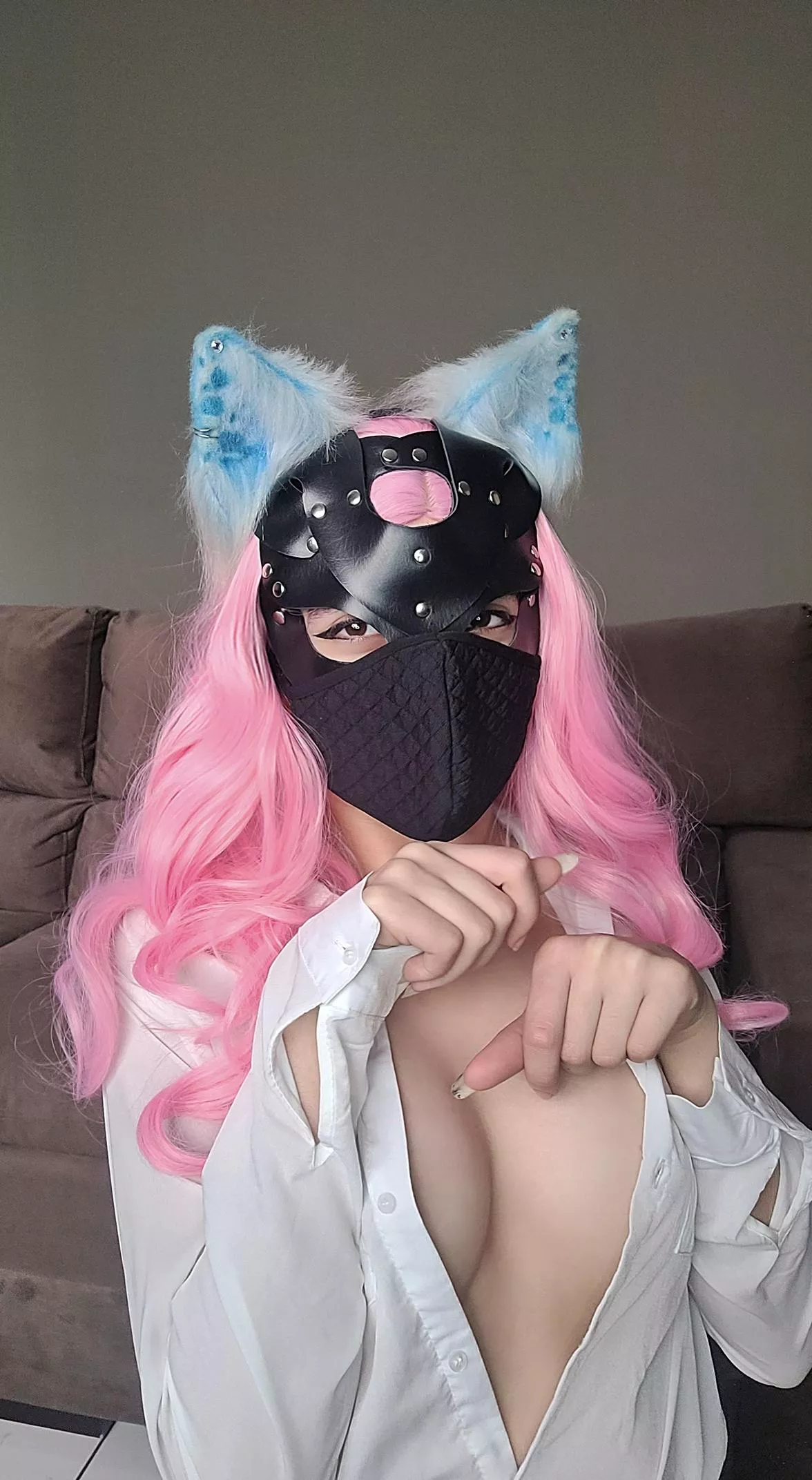 can i give you my paw? 🐾