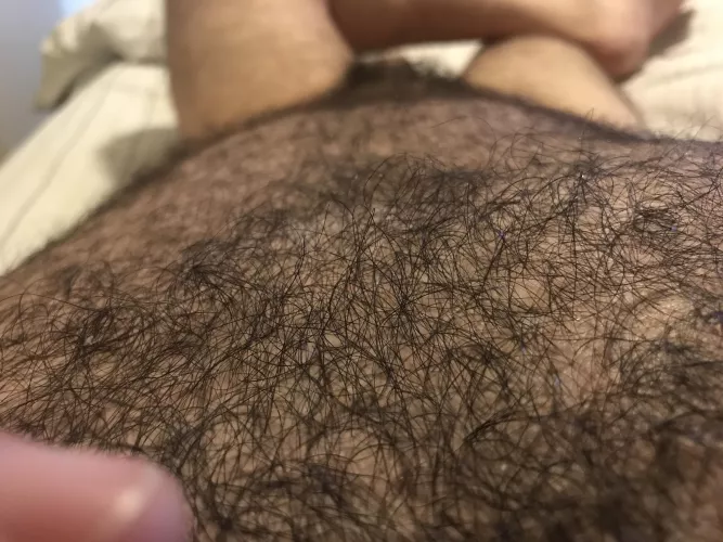 Do you like this chest fur?