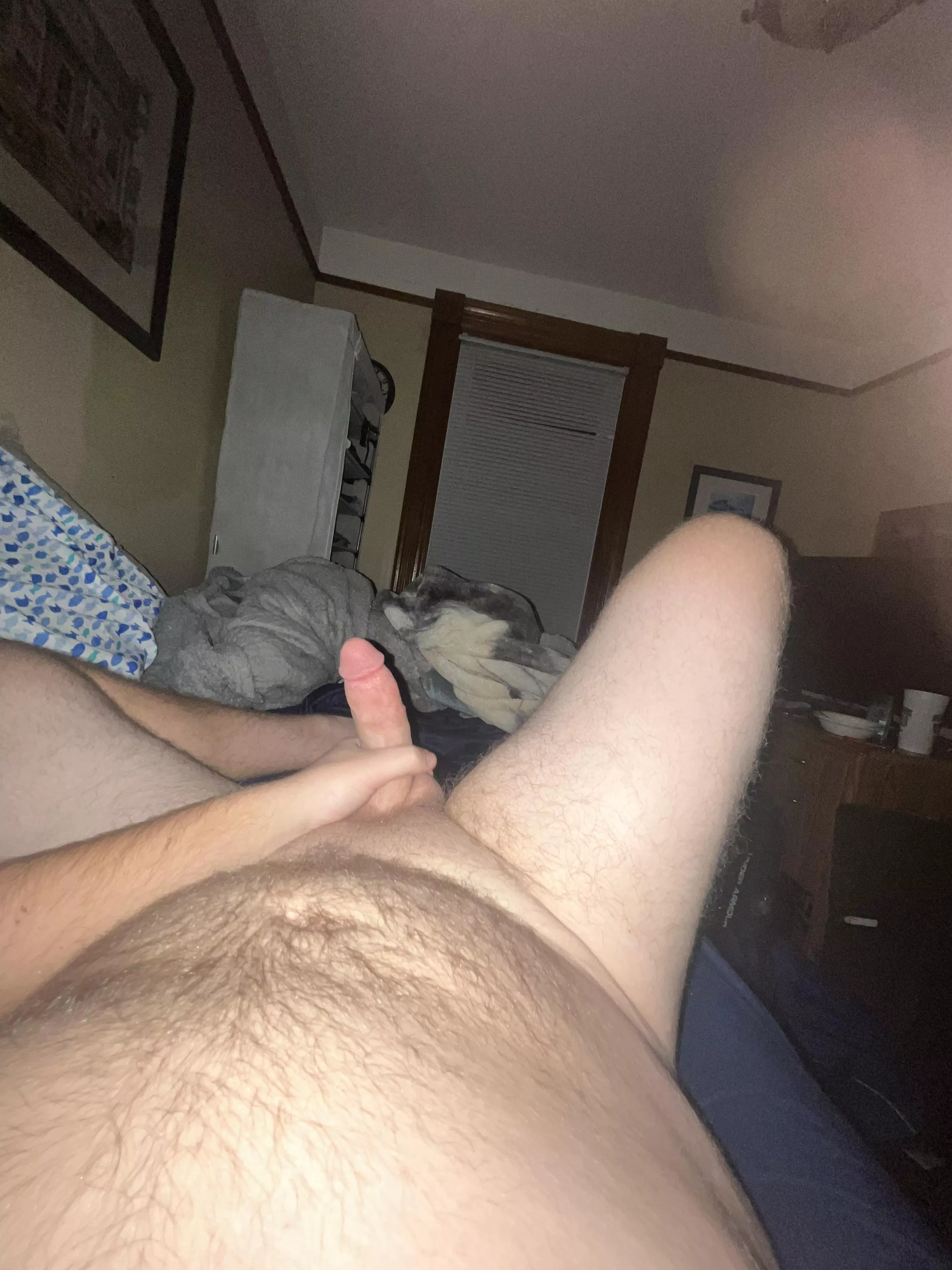 First post here. Hopefully you enjoy : )