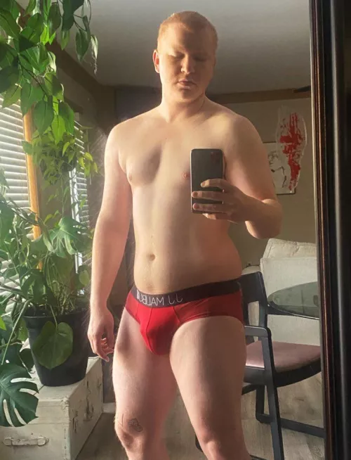 Gingers glow in the sunlight (self)