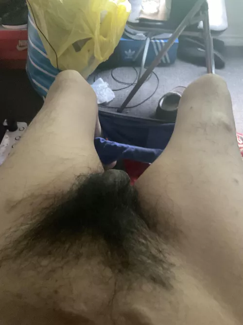 I haven’t shaved in over a year