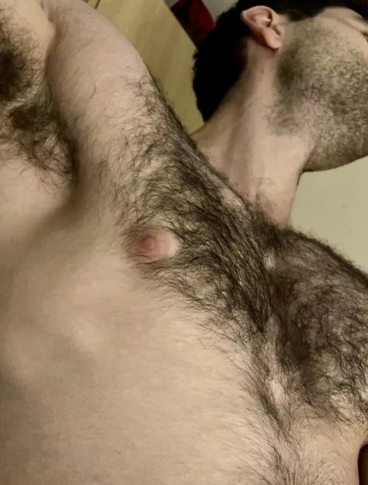 I think the chest fur is coming on nicely. I do hope you agree