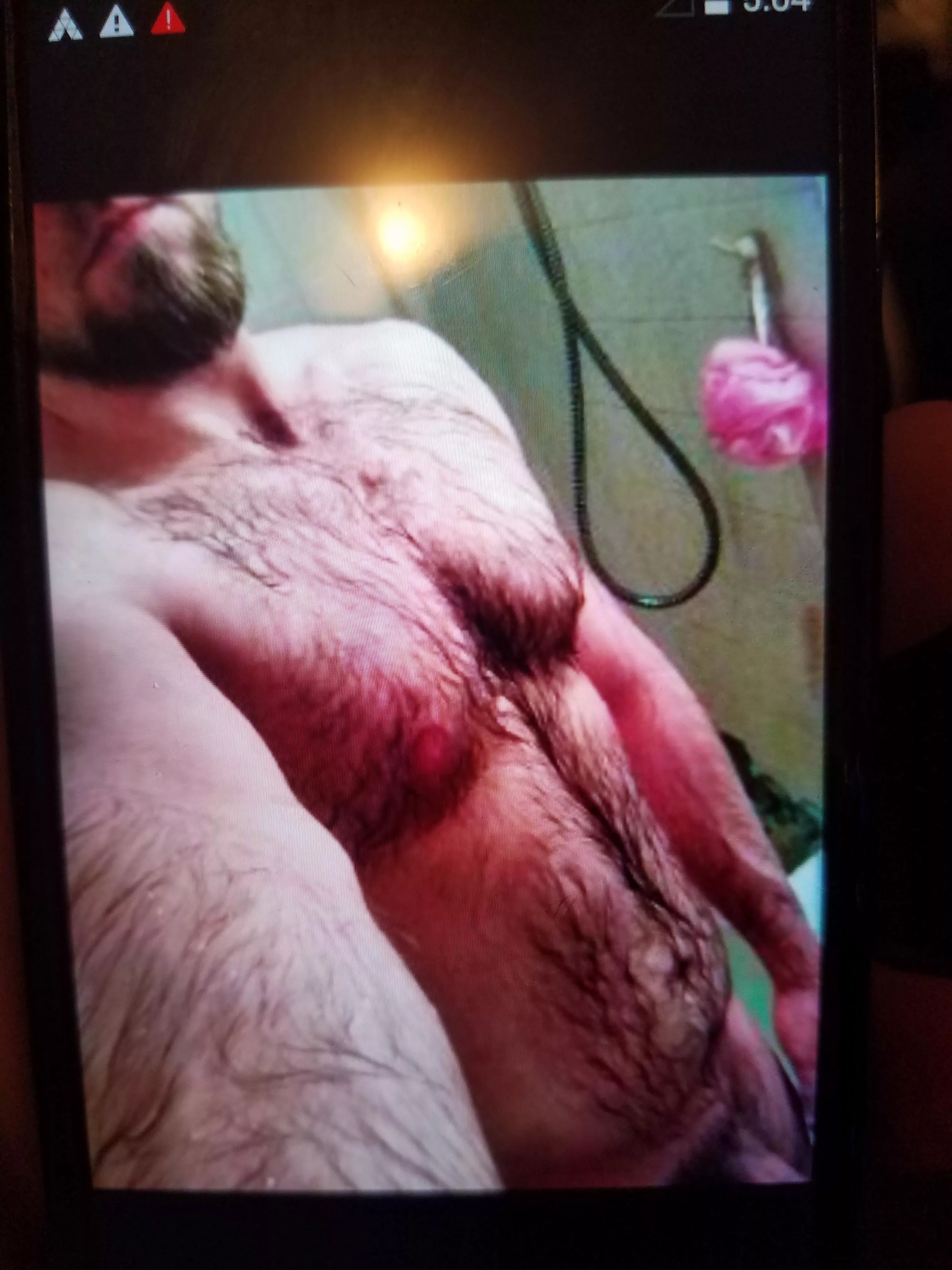 Insomniac bear (31) looking to chat