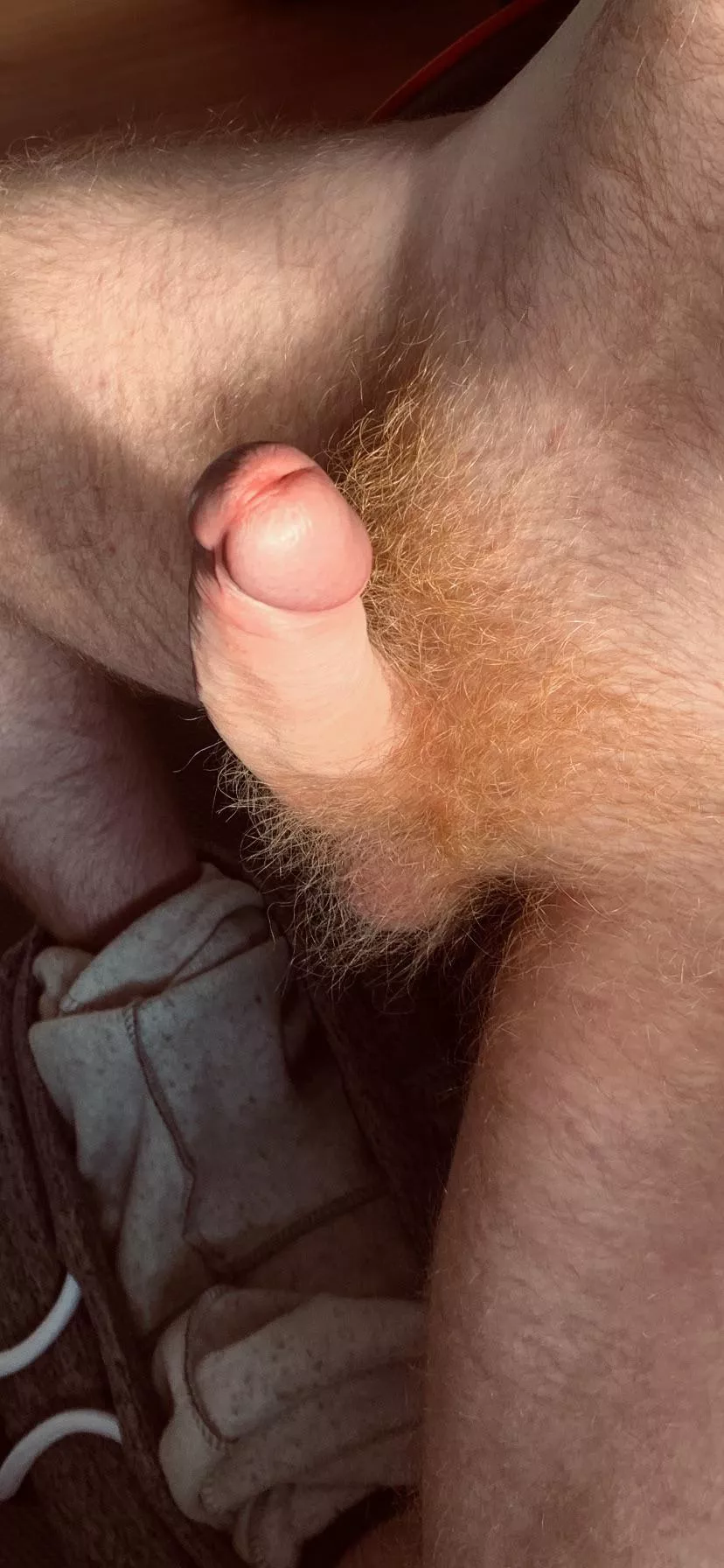 It’s like having a ginger furry coat for my cock 👨🏻‍🦰