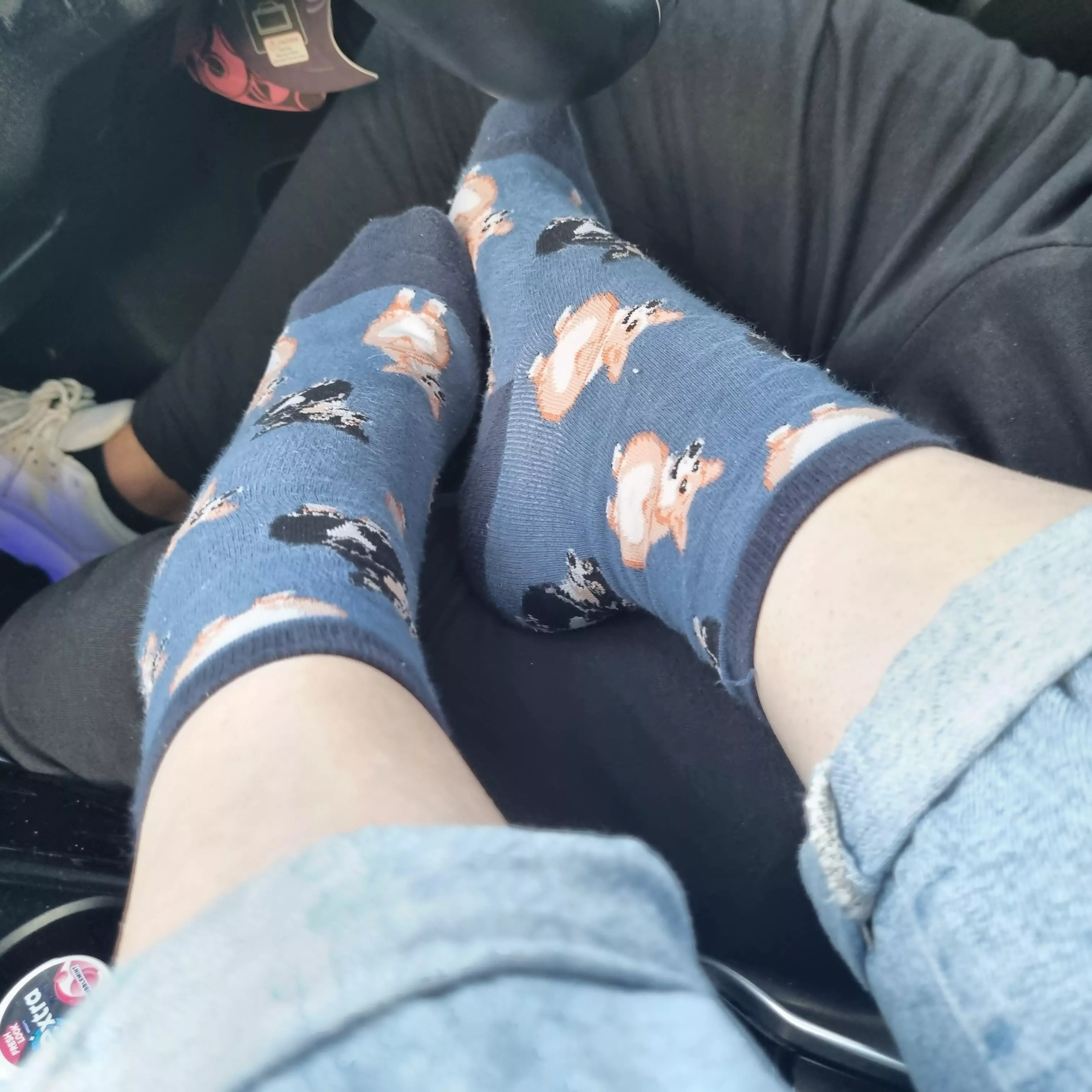 Let me come rest my feet on your lap