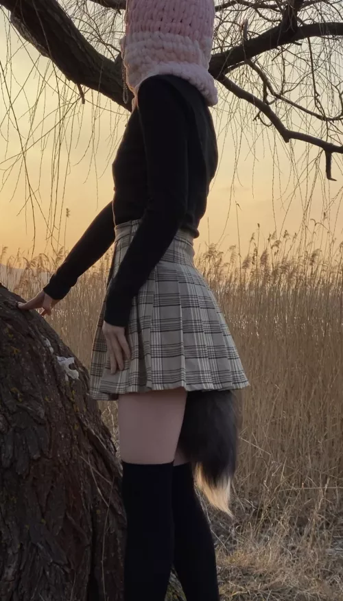 Pluget tikky on public^^