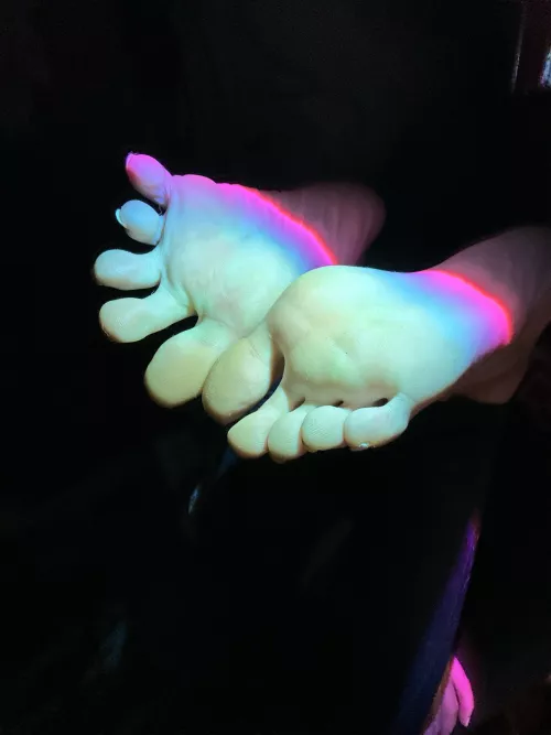 scrunched up and normal ,, what would you do to them ?