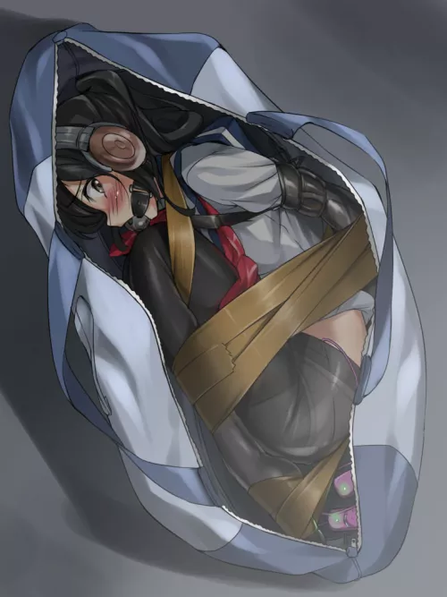 She's ready to travel with her owner. The trip might be long though, but she'll enjoy.