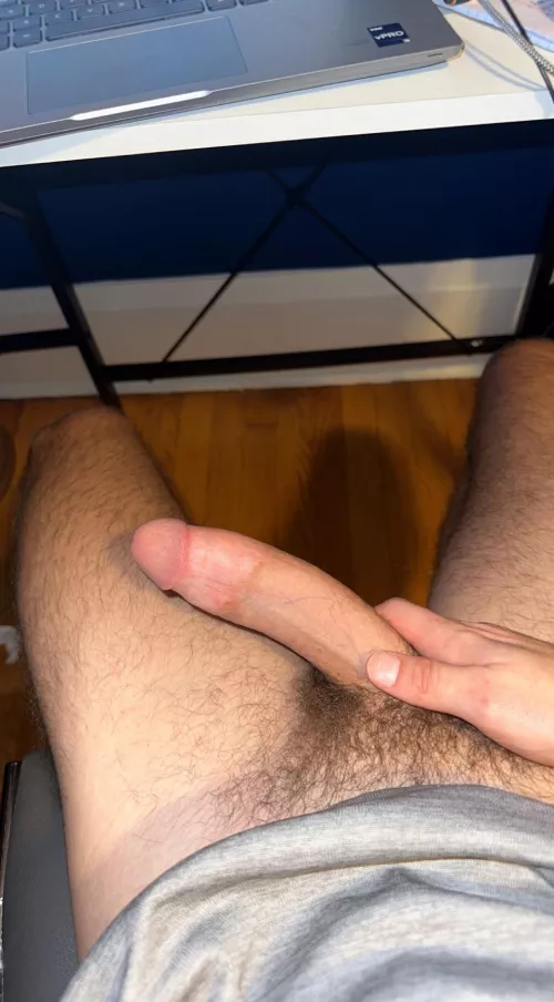 Suck my cock while I’m in my zoom meeting?