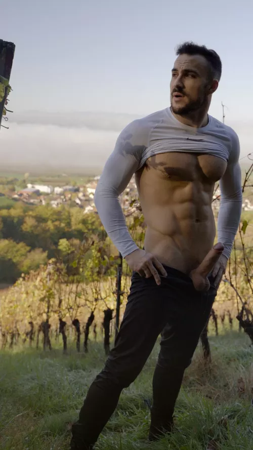What would you do seeing me like this in the wine fields?