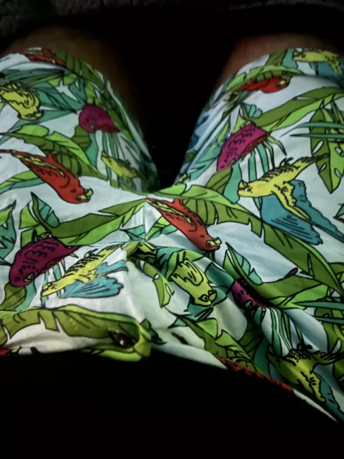 Anyone else love animal print boxers?