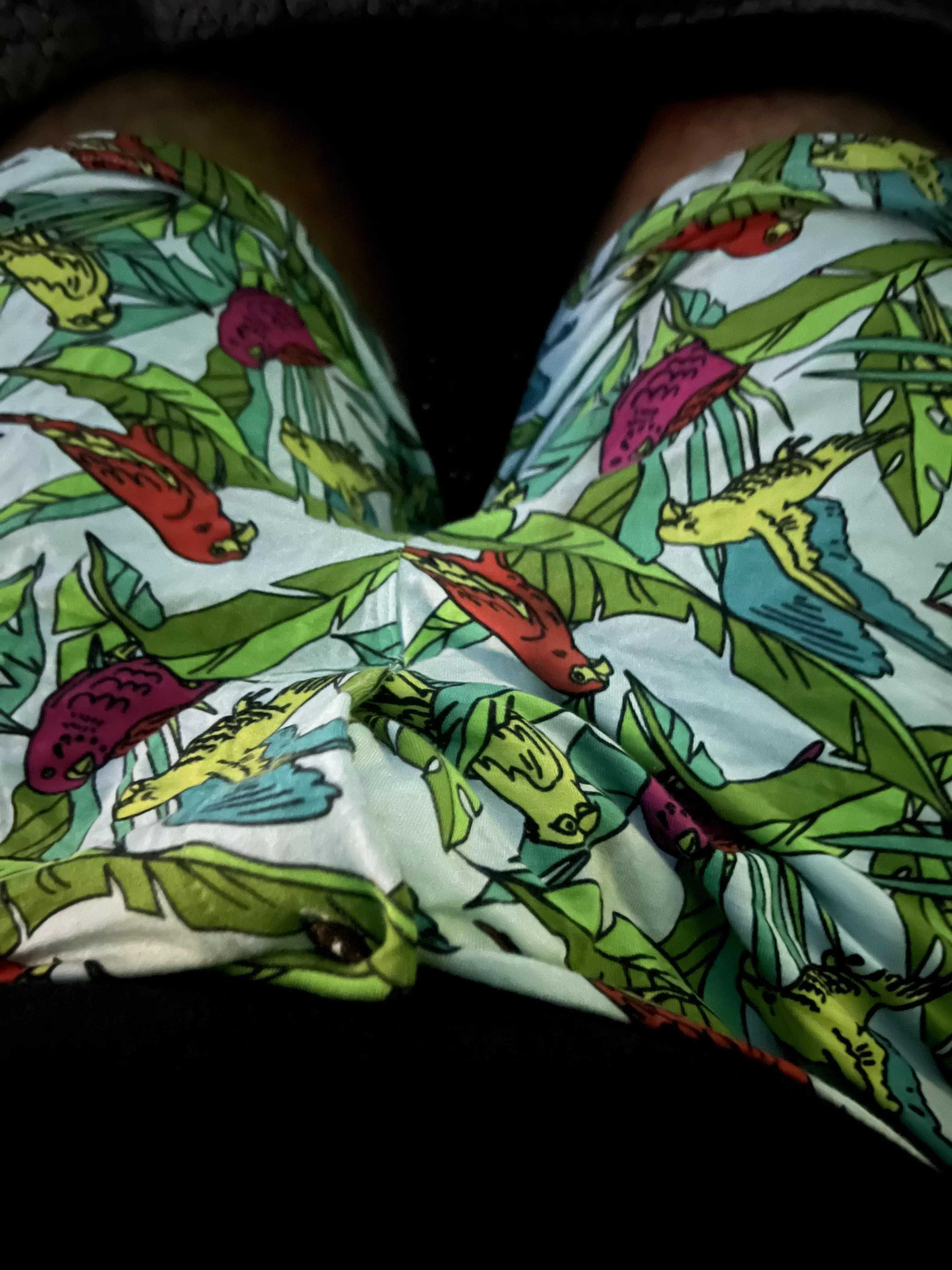 Anyone else love animal print boxers?