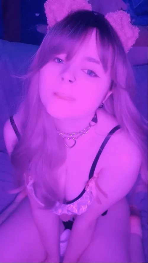 good puppy wearing her collar