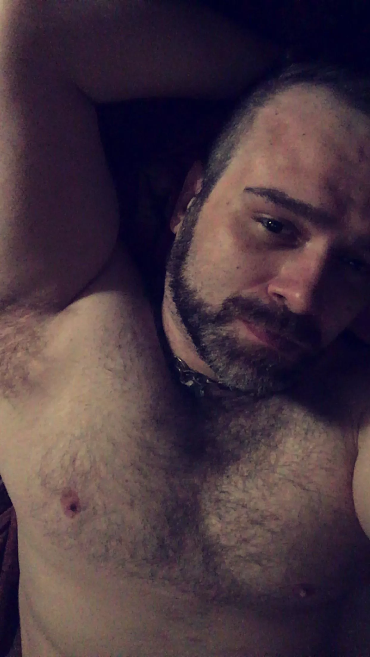 Goodnight y’all! 🦥