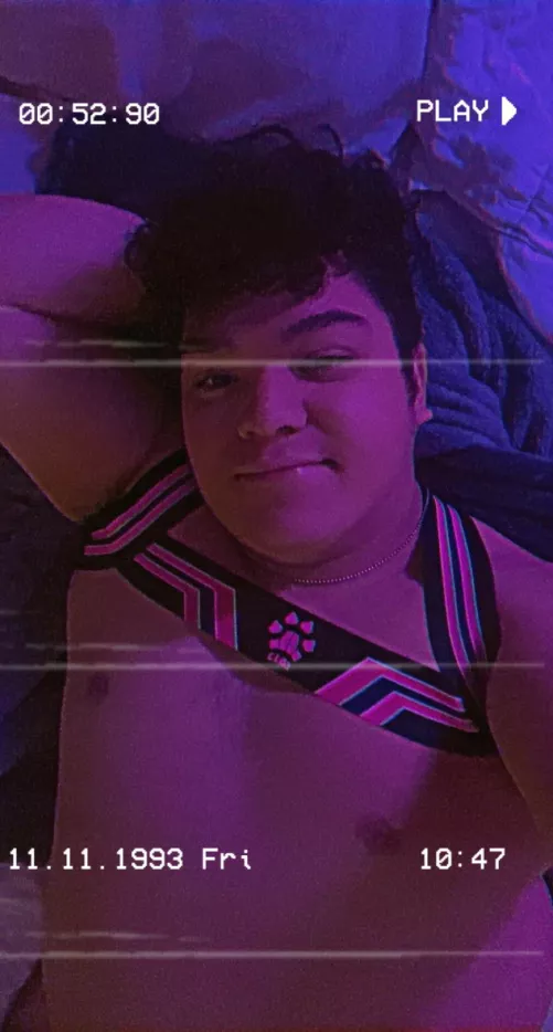 Got a new harness. I feel cute! Thoughts?