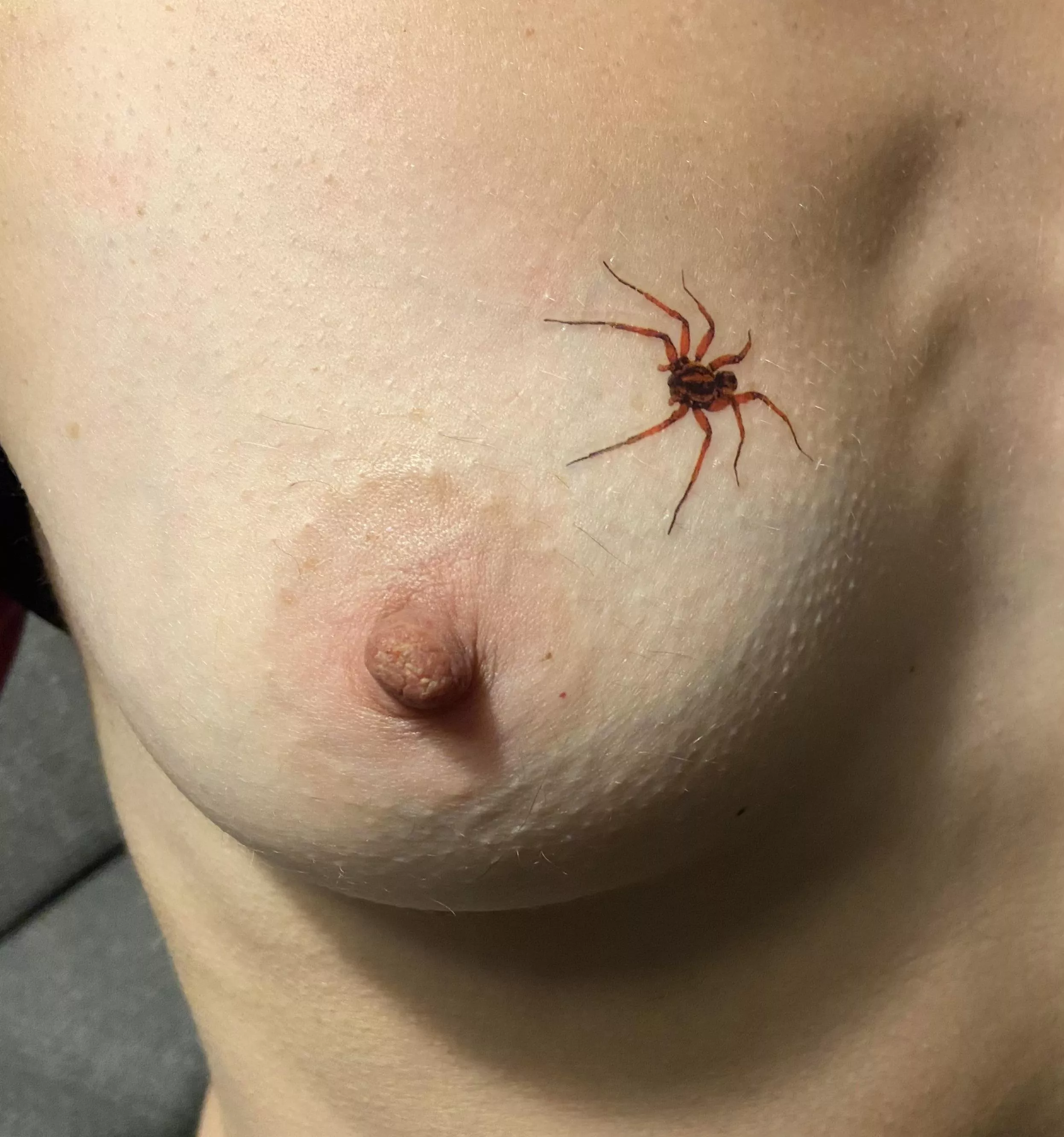 Itsy bitsy spider… (f,48,52 kg, 170cm)