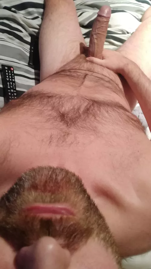 Morning wood strong as ever (41)