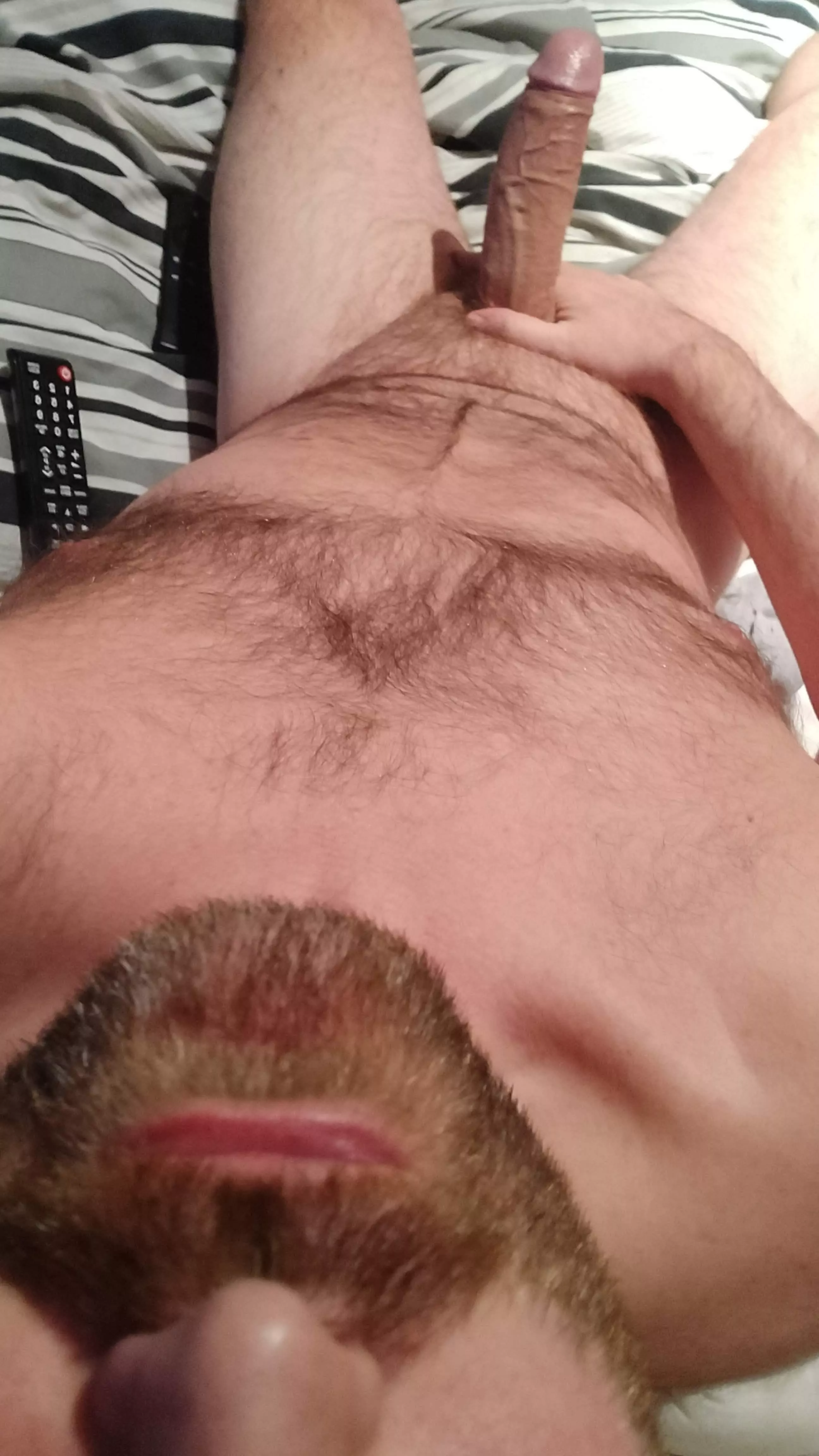 Morning wood strong as ever (41)