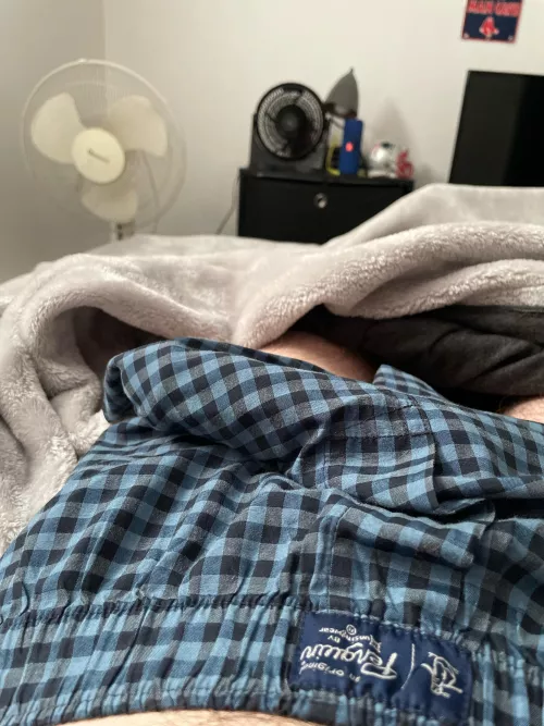 Morning wood. Wish I had someone here to give me morning head.