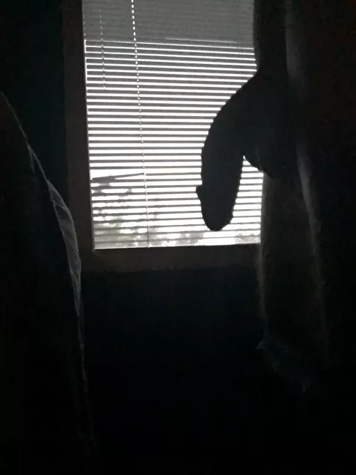 My softie but dramatic