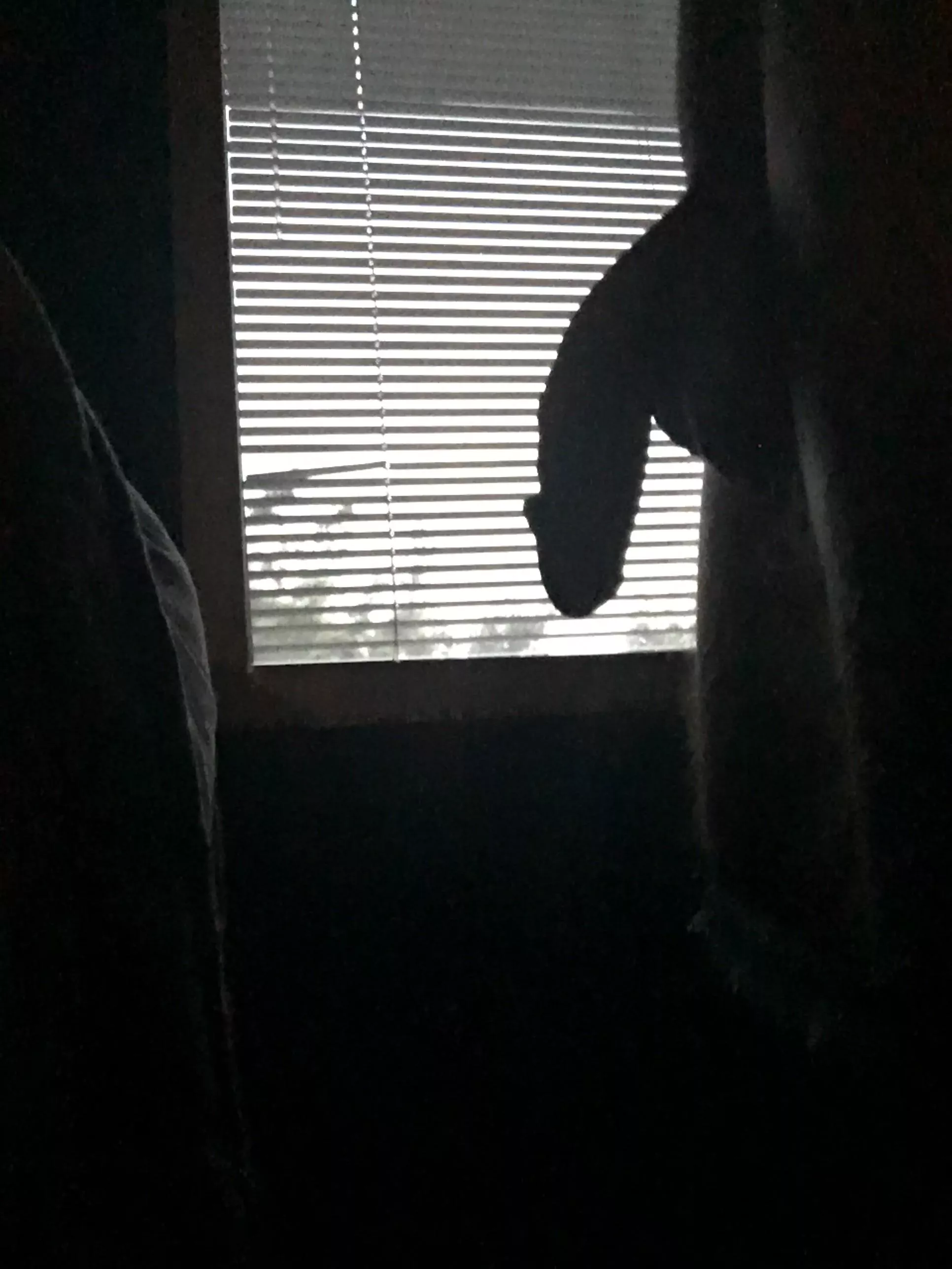 My softie but dramatic