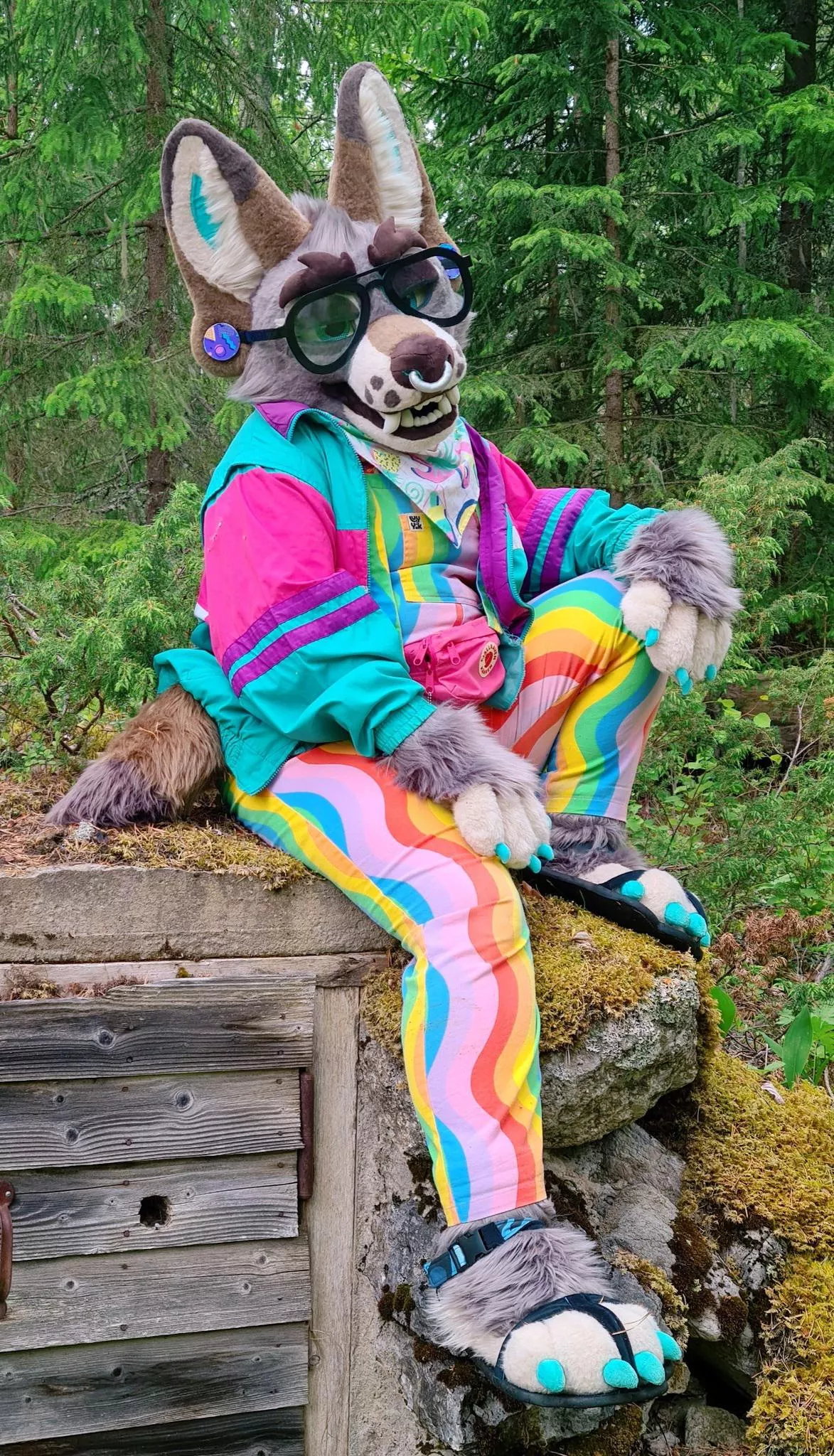 Rainbow yote 🌈🐺✨️