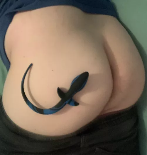 Should have made as one post butt oh well. Wanna help me put it in?