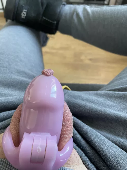 Starting to get used to the feeling 🥰 chaster link in comments