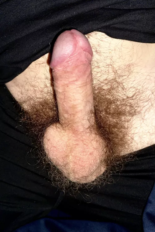 Take this hairy boner?