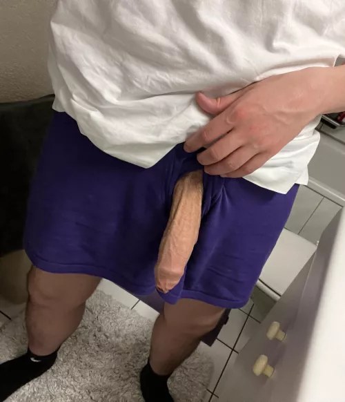 uncut 8.2 inch swiss cock