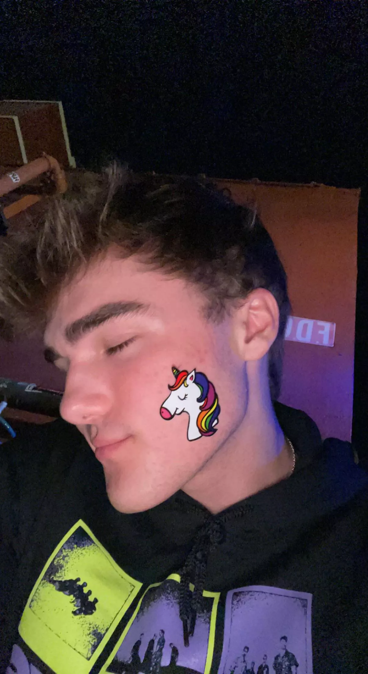 Went to a concert that passed out some pride sticker packages, 10/10 night:)