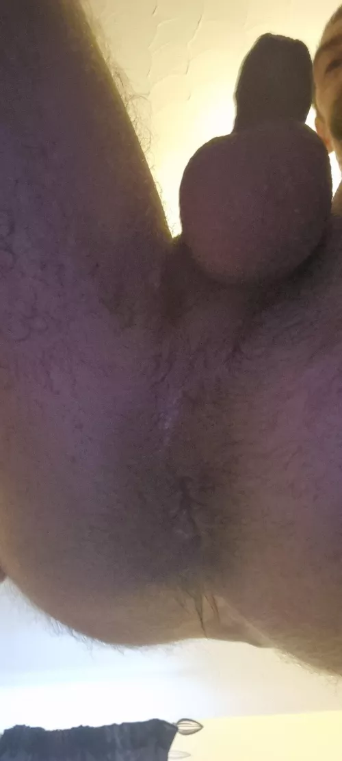 what do you think of my ass and balls?