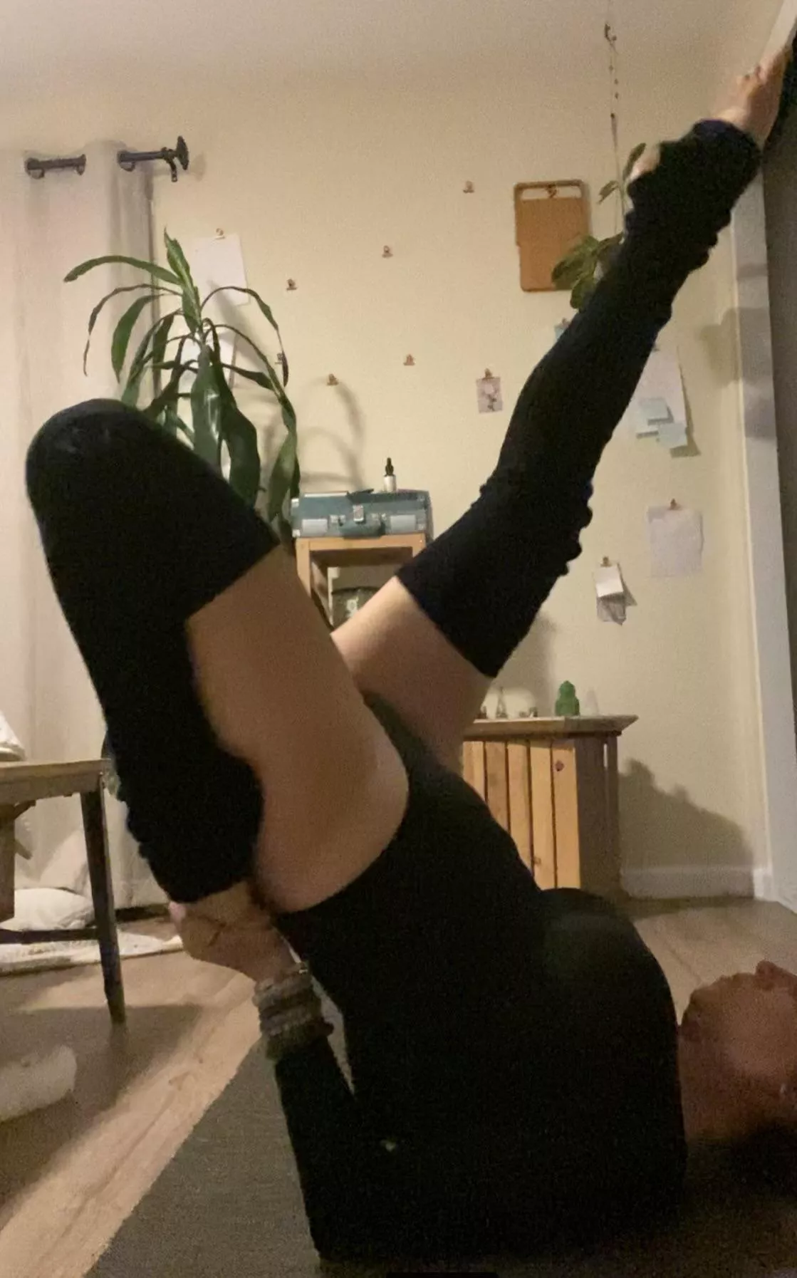 Who needs a flexible sugar baby?