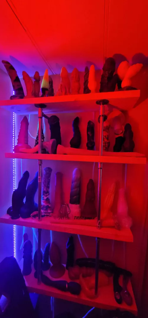 Yet another flex Friday. May need more shelves!