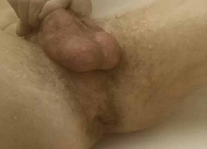 [21] a buffet for the taking