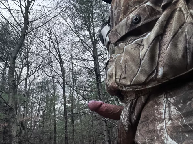 50+ the rut is on gotta start hunting hard!!!