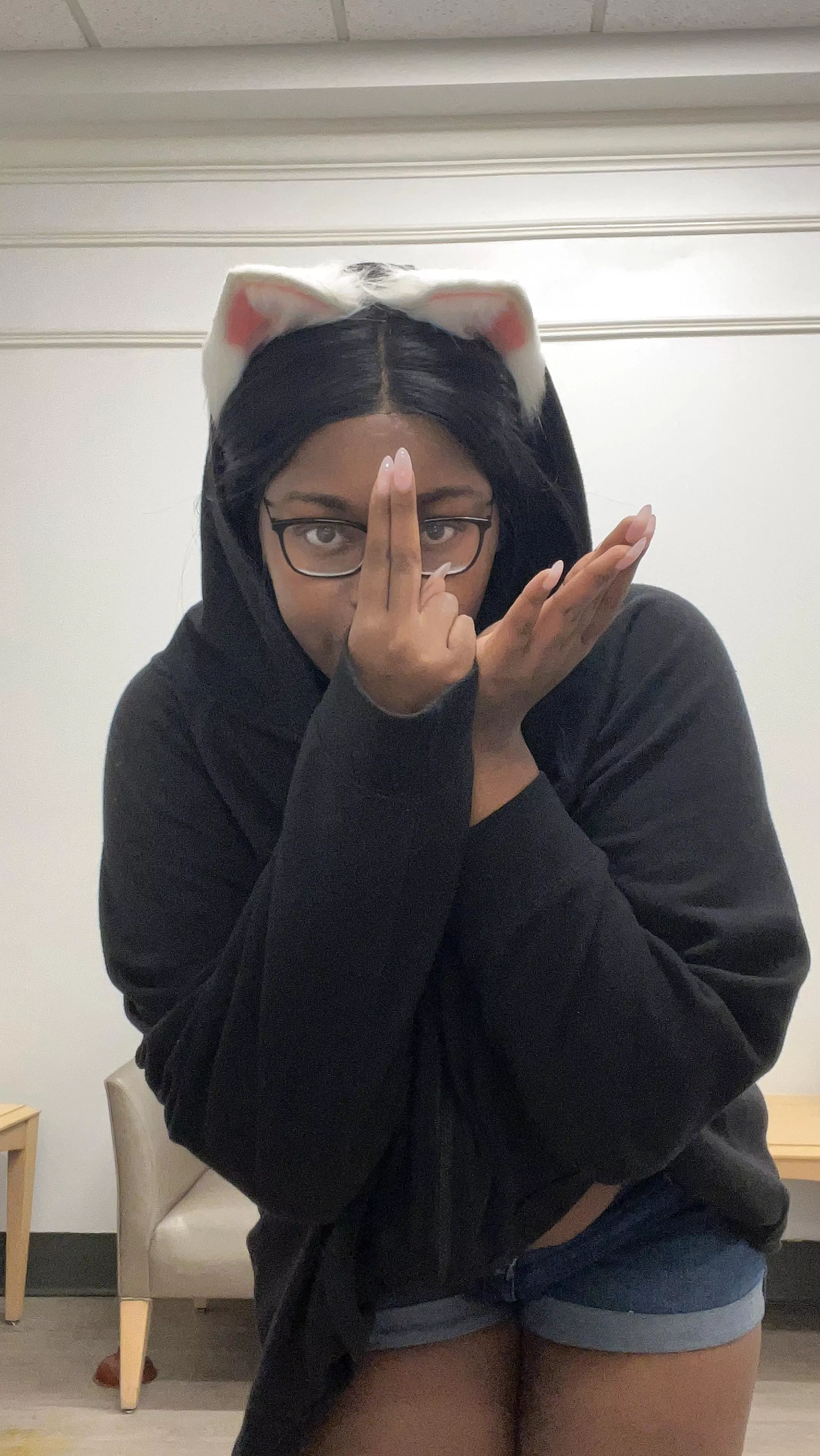 A sneaky stray has appeared