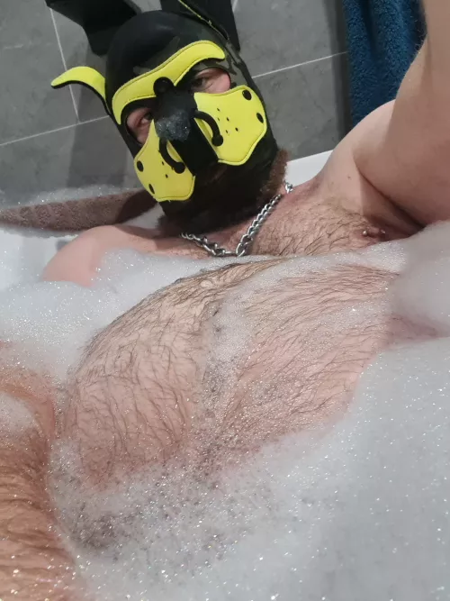 Anyone wanna help scrub my belly?