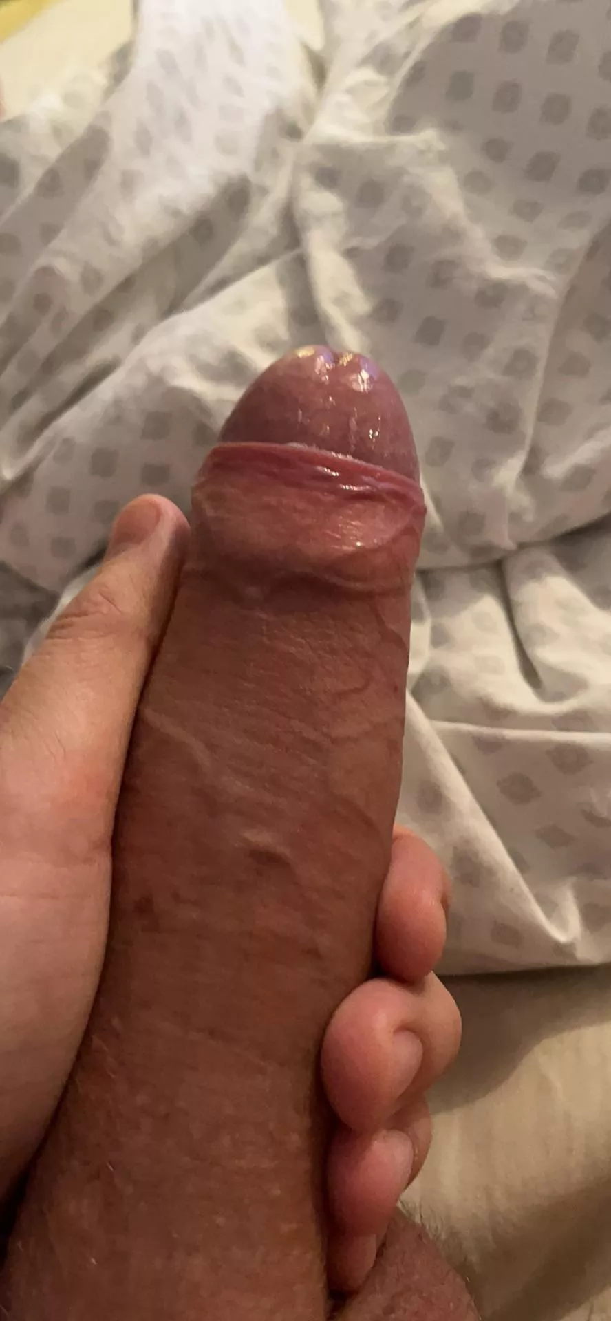 Been stroking to Reddit so Much today, my cock starts spitting precum… time to drain?