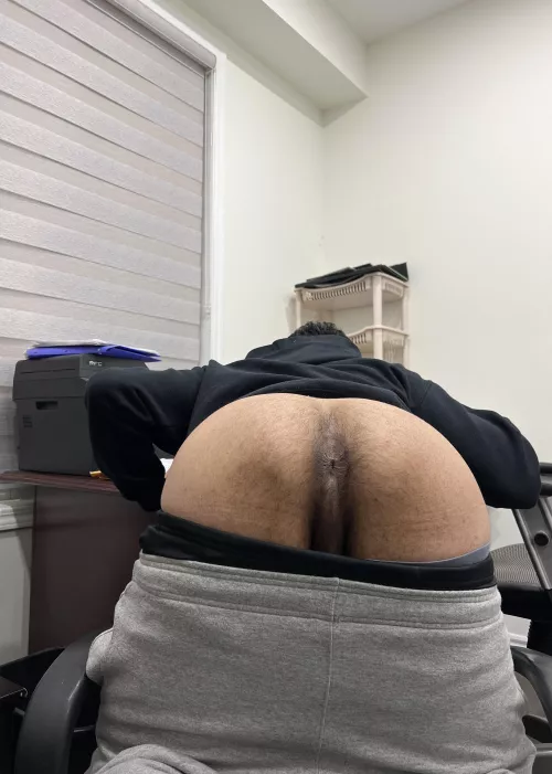 Breed my hairy bussy